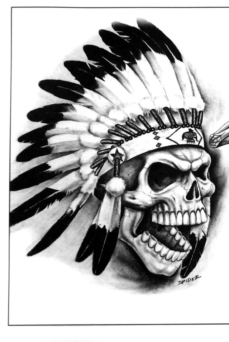 10 Skulls An Native American Headdresses Ideas Native American Skull