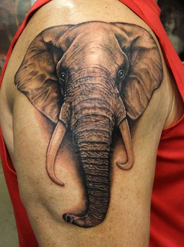 100 Mind Blowing Elephant Tattoo Designs With Images Elephant Tattoo