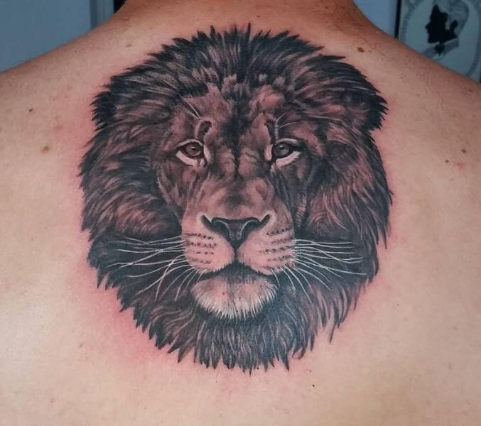 100 Realistic Lion Tattoos For Men 2019 Tribal Traditional Designs