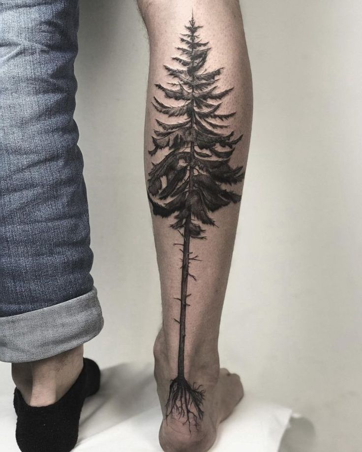 101 Amazing Pine Tree Tattoo Ideas Will Love Pine Tattoo Tree Sleeve Tattoo Tree Tattoo