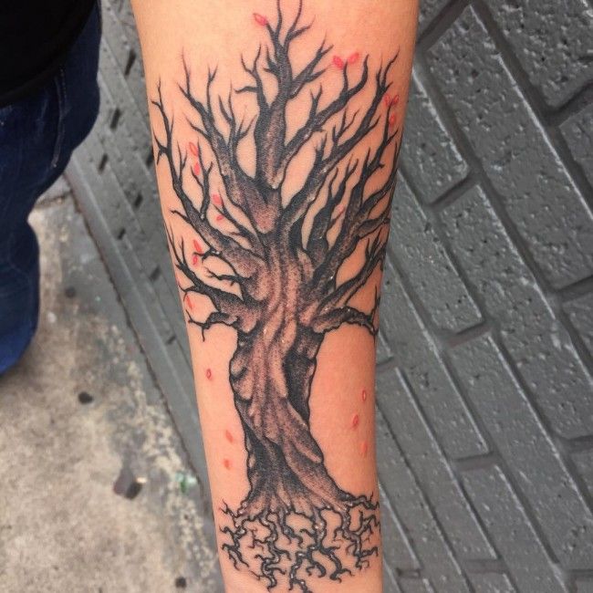 123 Brilliant Tree Tattoo Designs And Their Meanings Awesome Check More