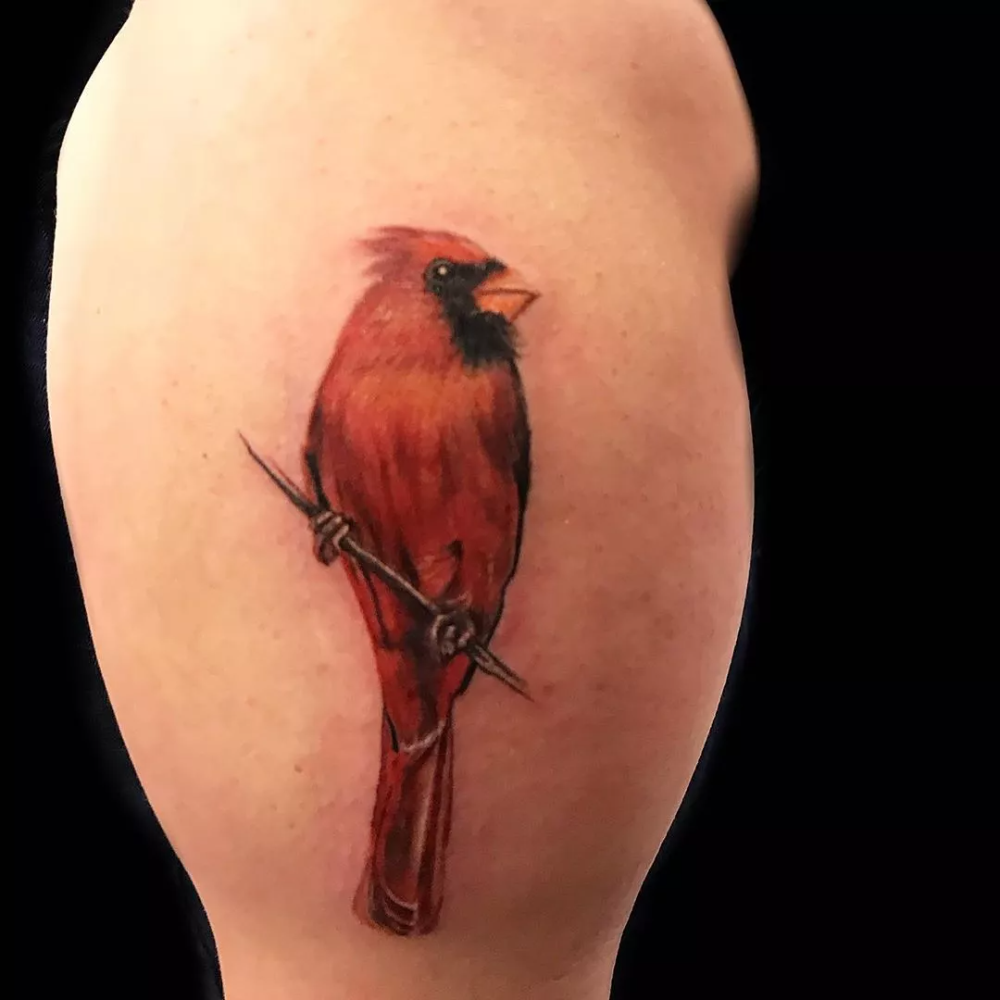 180 Best Cardinal Tattoos Designs With Meanings 2023 Tattoosboygirl Unique Tattoos Small