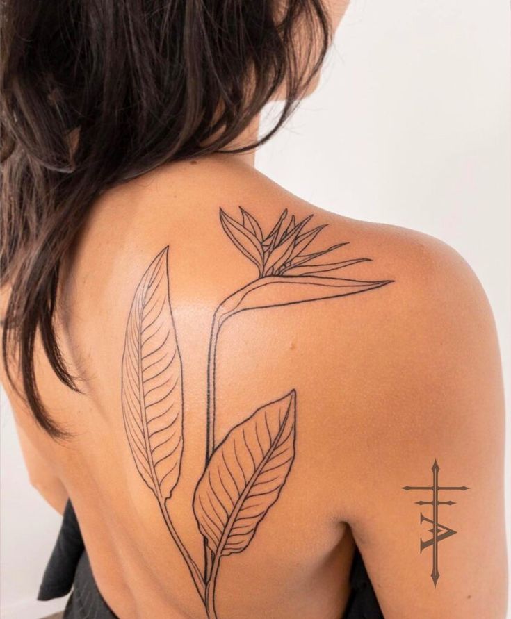 25 Stunning Bird Of Paradise Tattoo Ideas In 2022 25 Paradise Tattoo