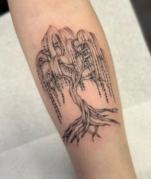 25 Women Tree Tattoo Ideas Inspired Beauty Willow Tree Tattoos