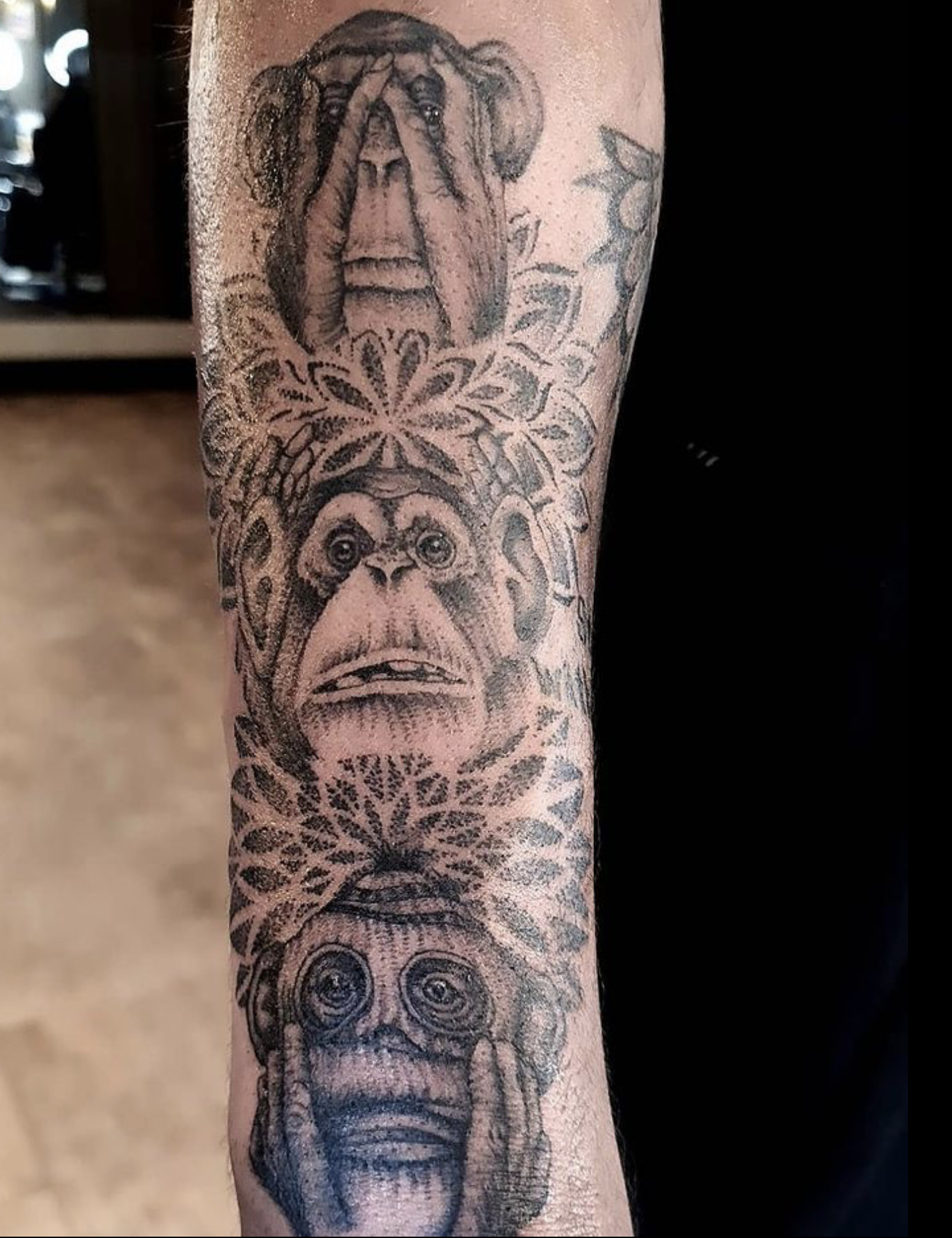 3 Wise Monkeys By Jenny Clark Tattoo Artist Tattoos Tattoo Artists