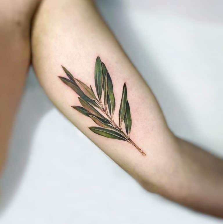 30 Best Olive Branch Tattoo Design Ideas 2021 Updated Tattooed Martha