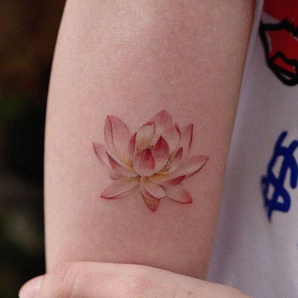 30 Best Water Lily Tattoo Ideas Read This First