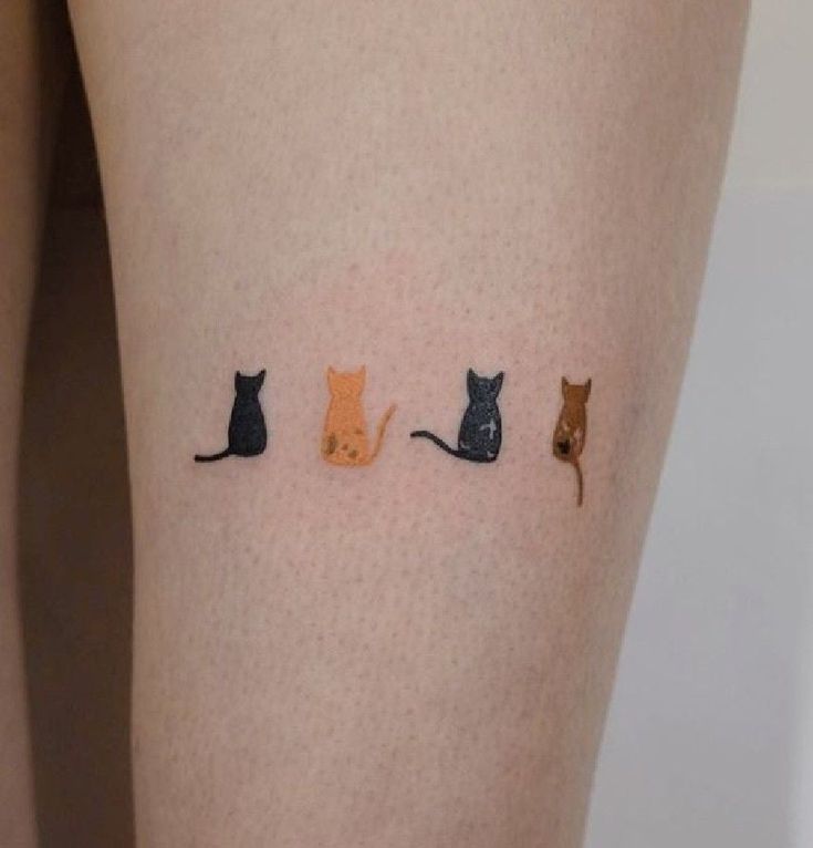 30 Creative Cat Tattoo Ideas Luvable To All Cat Lovers In 2024 Cute