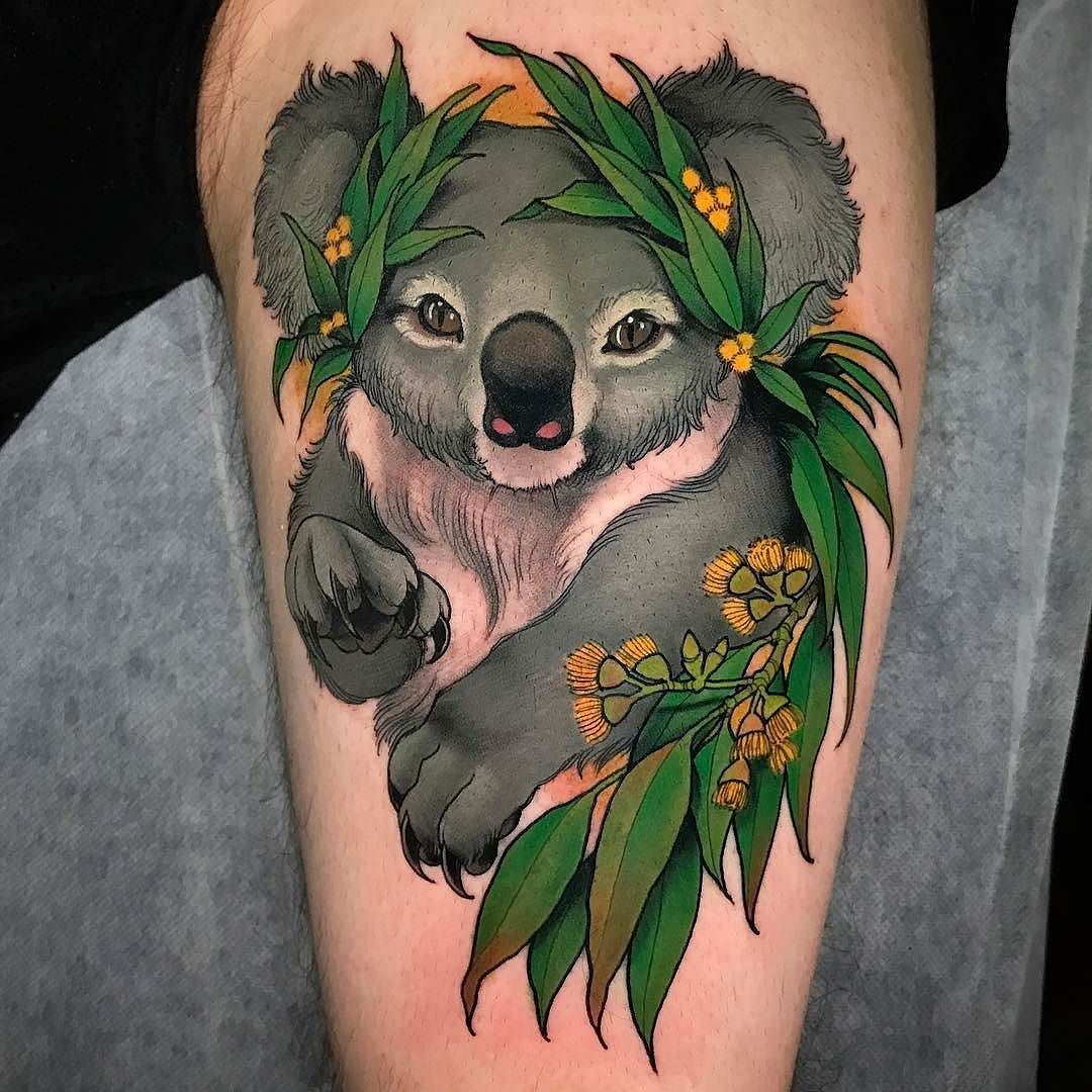 34 Koala Tats Ideas Koala Koala Tattoo Koalas