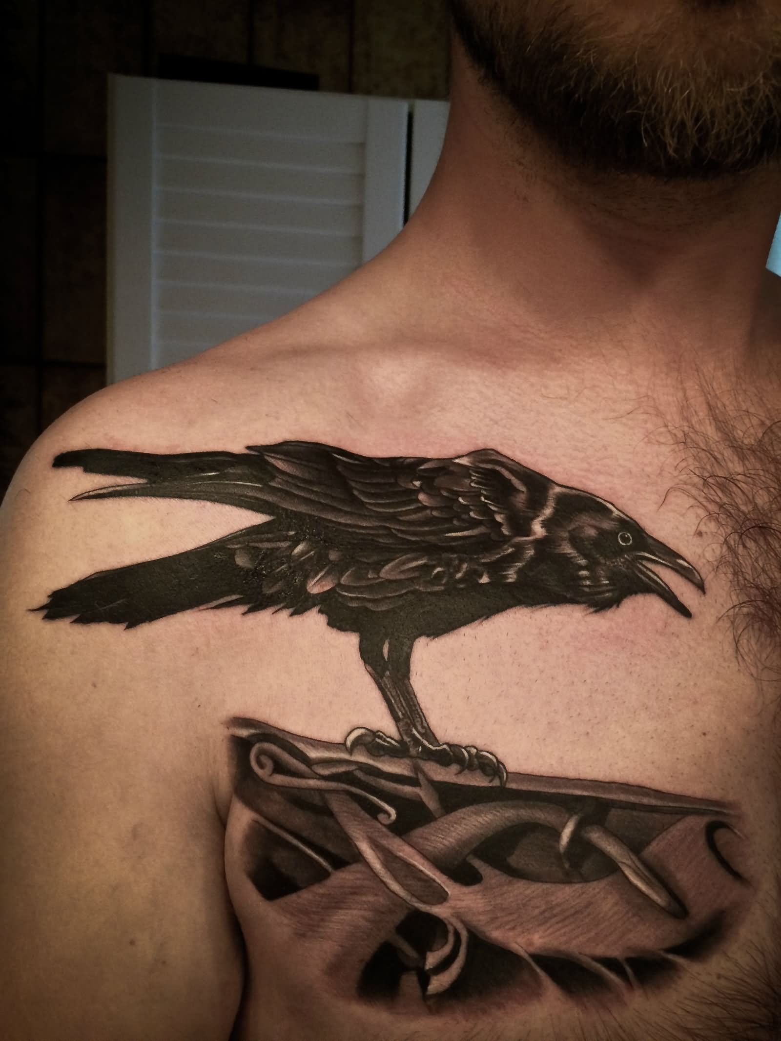 35 Odin S Raven Tattoo Designs Images And Pictures