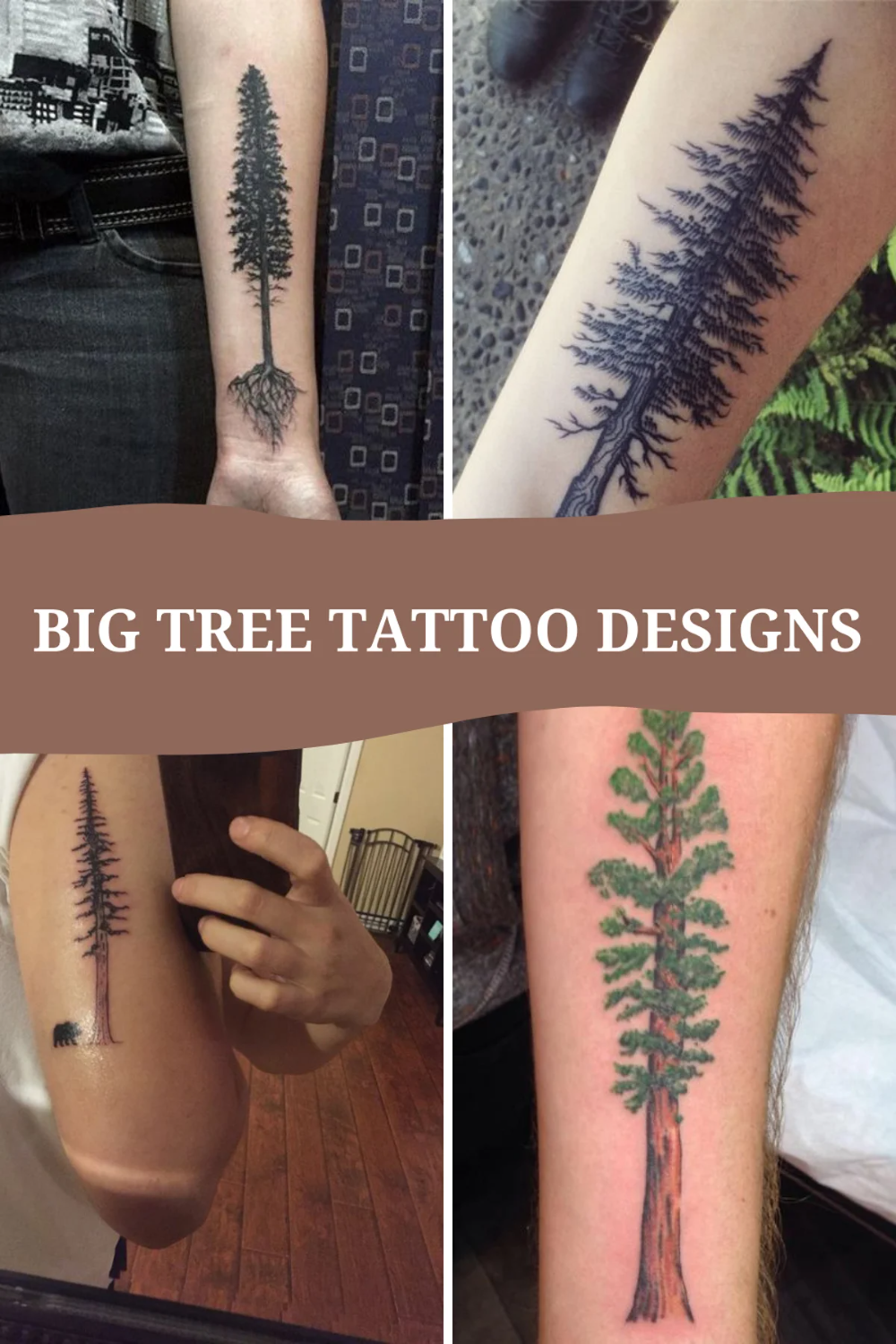 47 Redwood Tree Tattoo Ideas Meaning Survival Strength Tattoo Glee