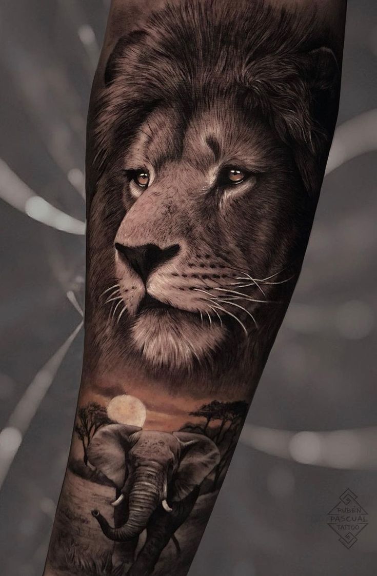 50 Eye Catching Lion Tattoos That Ll Make You Want To Get Inked In 2022