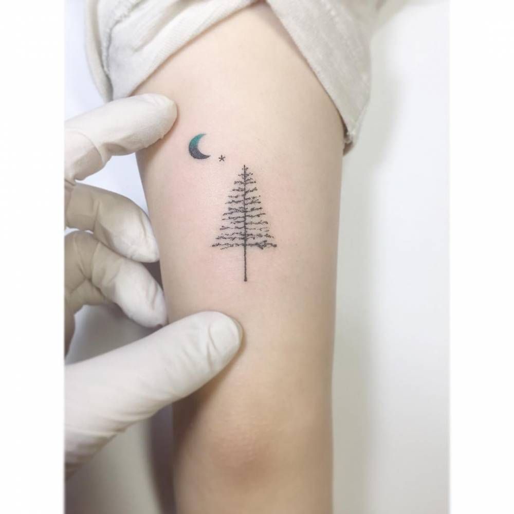 50 Pine Tree Tattoos And Ideas For Nature Lovers Tats N Rings M