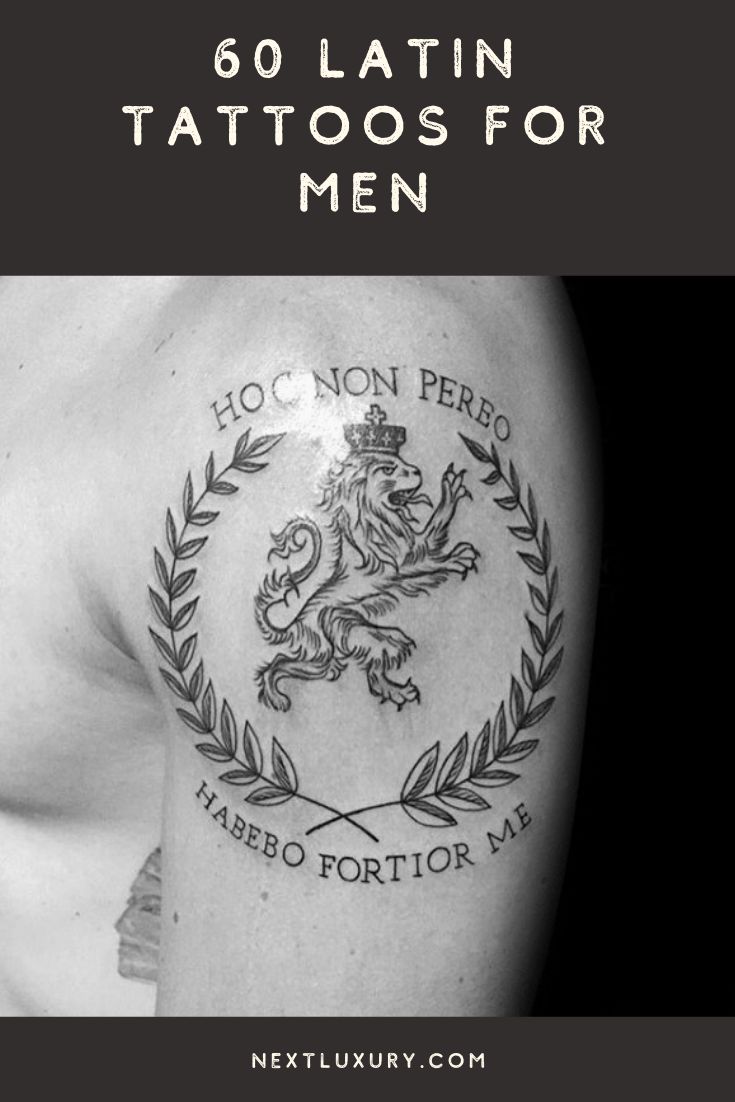 60 Amazing Latin Tattoos For Men 2024 Inspiration Guide Latin Tattoo Latin Word Tattoos