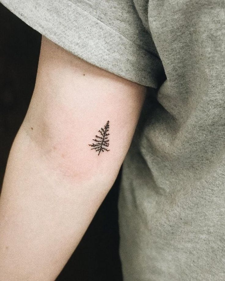 60 Of The Freshest Tree Tattoos That Will Heal Your Body And Soul Meanings Designs And Ideas