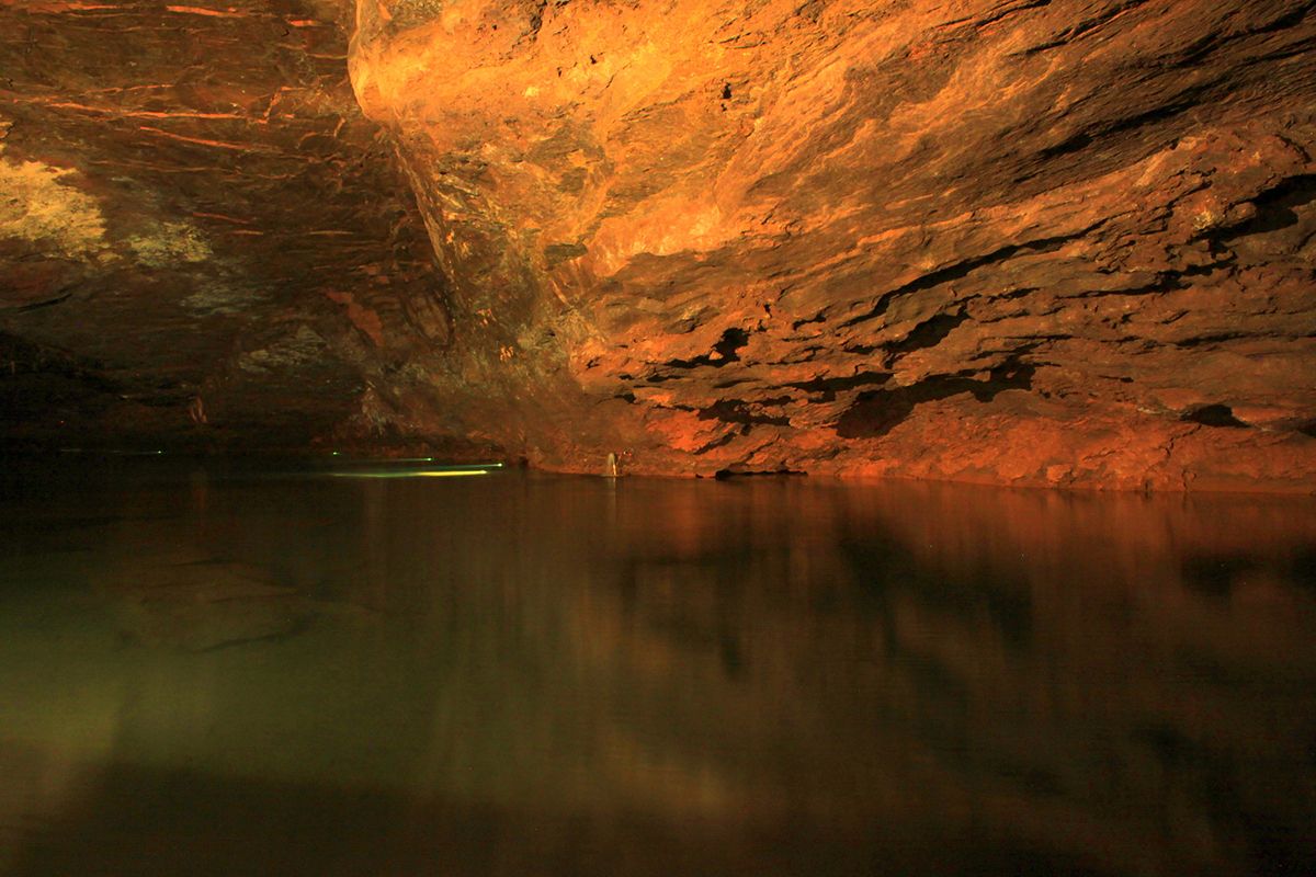 7 Must See Caves In The U S Tennessee Road Trip Day Trips Trip