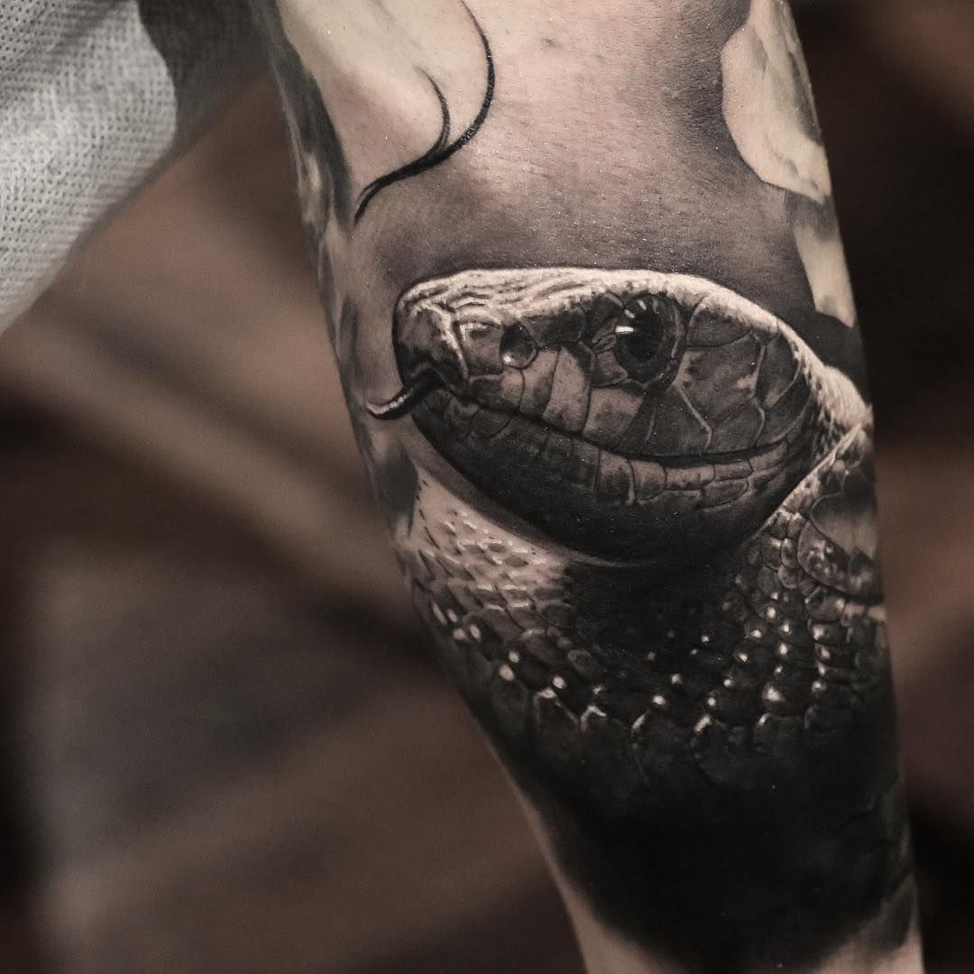 91 Best Images About Snake Tattoos On Pinterest