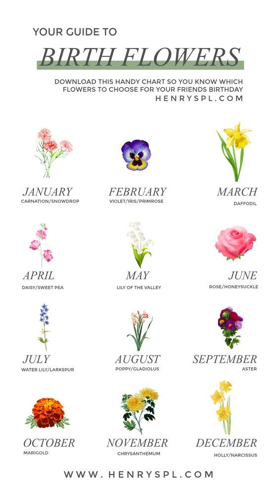 A Guide To Birth Month Flowers Boxwood Drive Tipsheet Birth