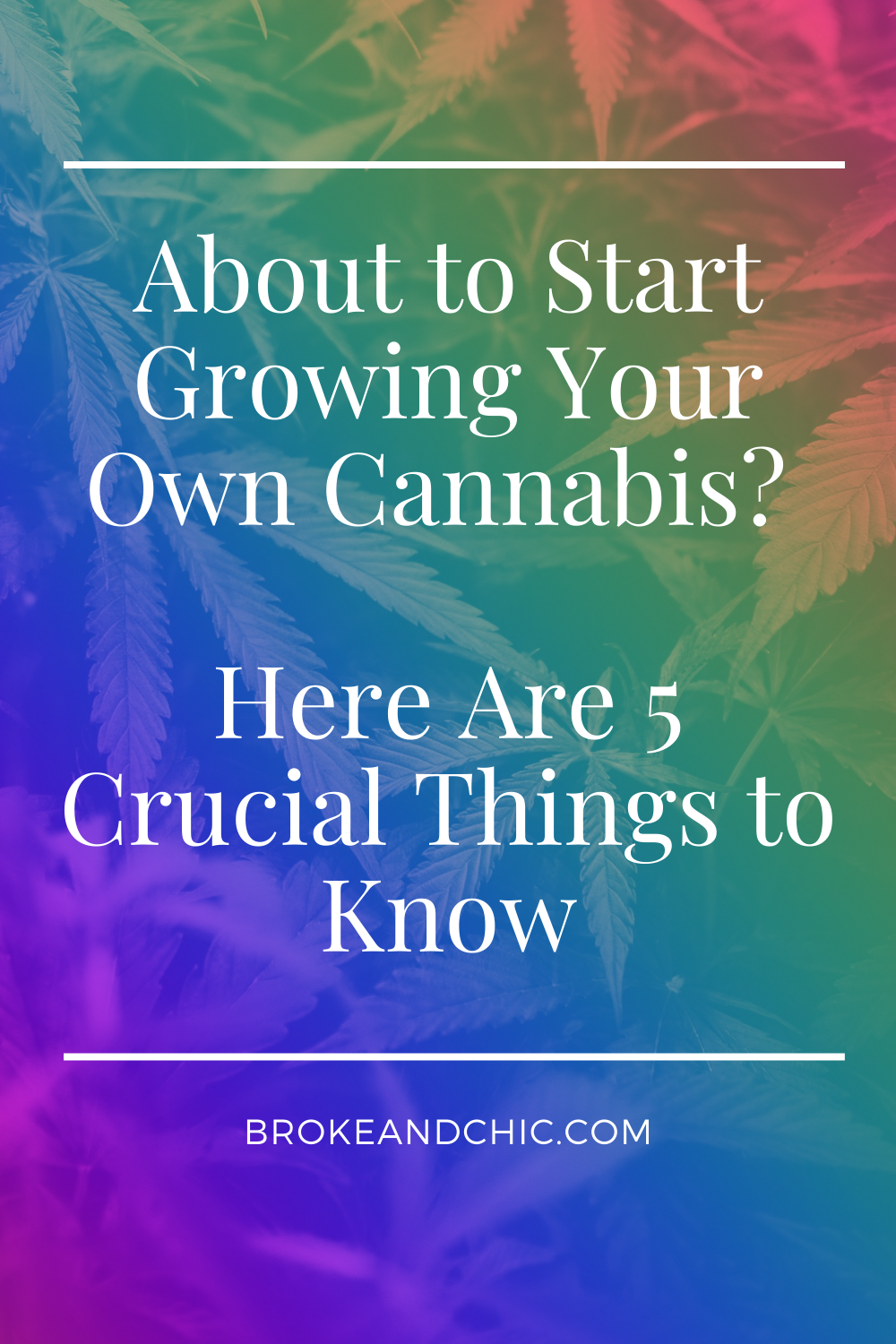 About To Start Growing Your Own Cannabis Here Are 5 Crucial Things To