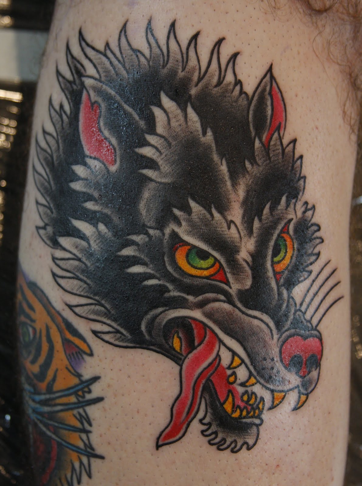 American Traditional Wolf