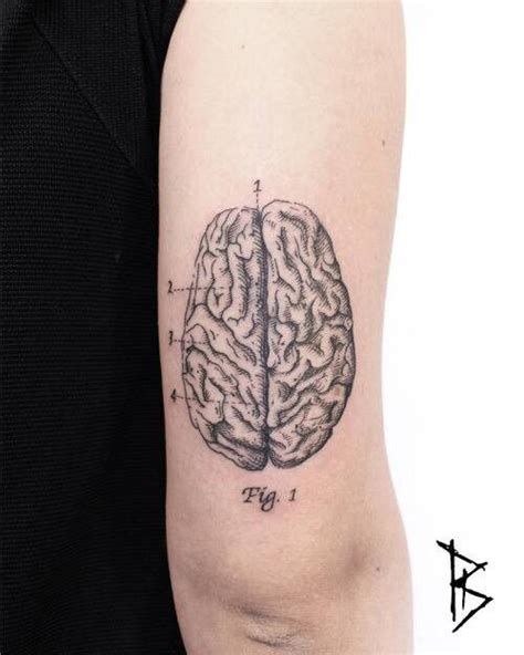 Amp Brain Tattoo Anatomical Tattoos Minimalist Tattoo