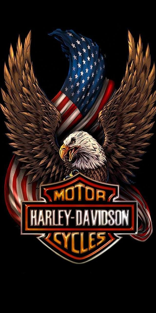 Bald Eagle Harley Davidson Harley Davidson