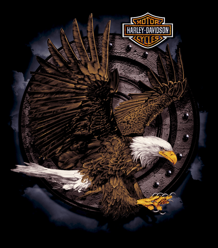 Bald Eagle Harley-Davidson 最も信頼できる 49.0%割引 Swim.main.jp