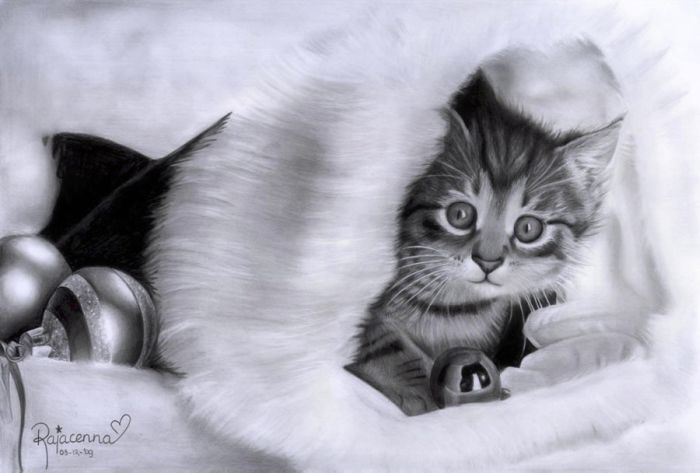 Beautiful Collection Of Pencil Drawings 20 Pics Izismile Com