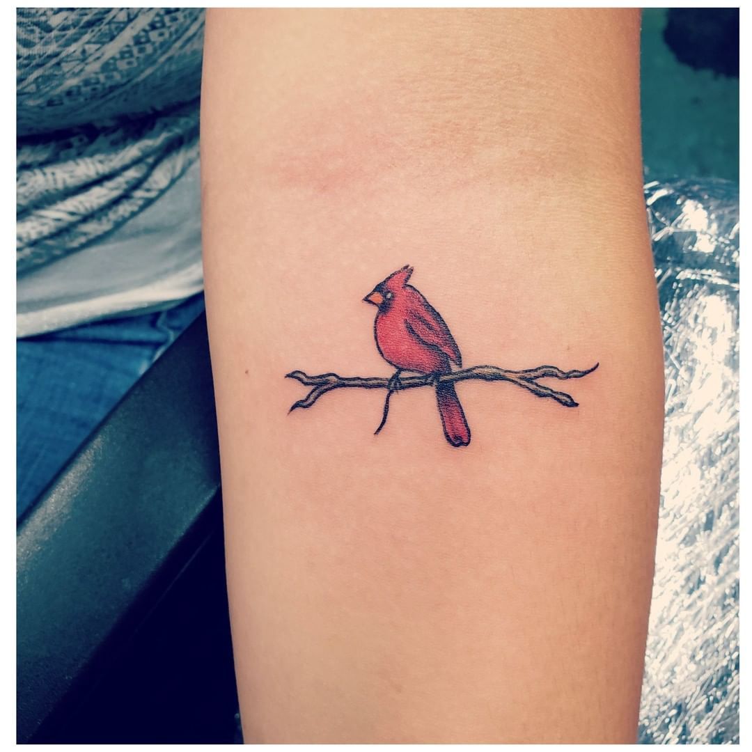 Bird Cardinal Tattoo All Inked Up Pinterest Cardinal Tattoos