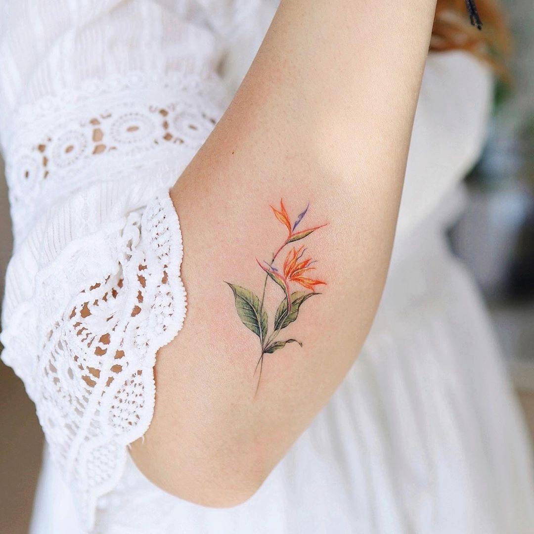 Bird Of Paradise Tattoo 10 Kinds Of Beautiful Flower Tattoo Designs