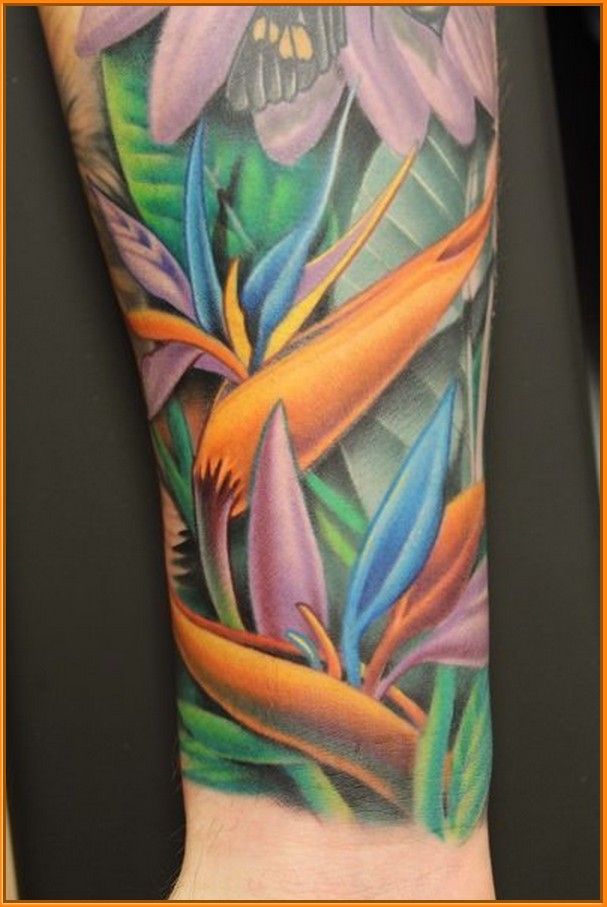 Birds Of Paradise Plant Tattoo