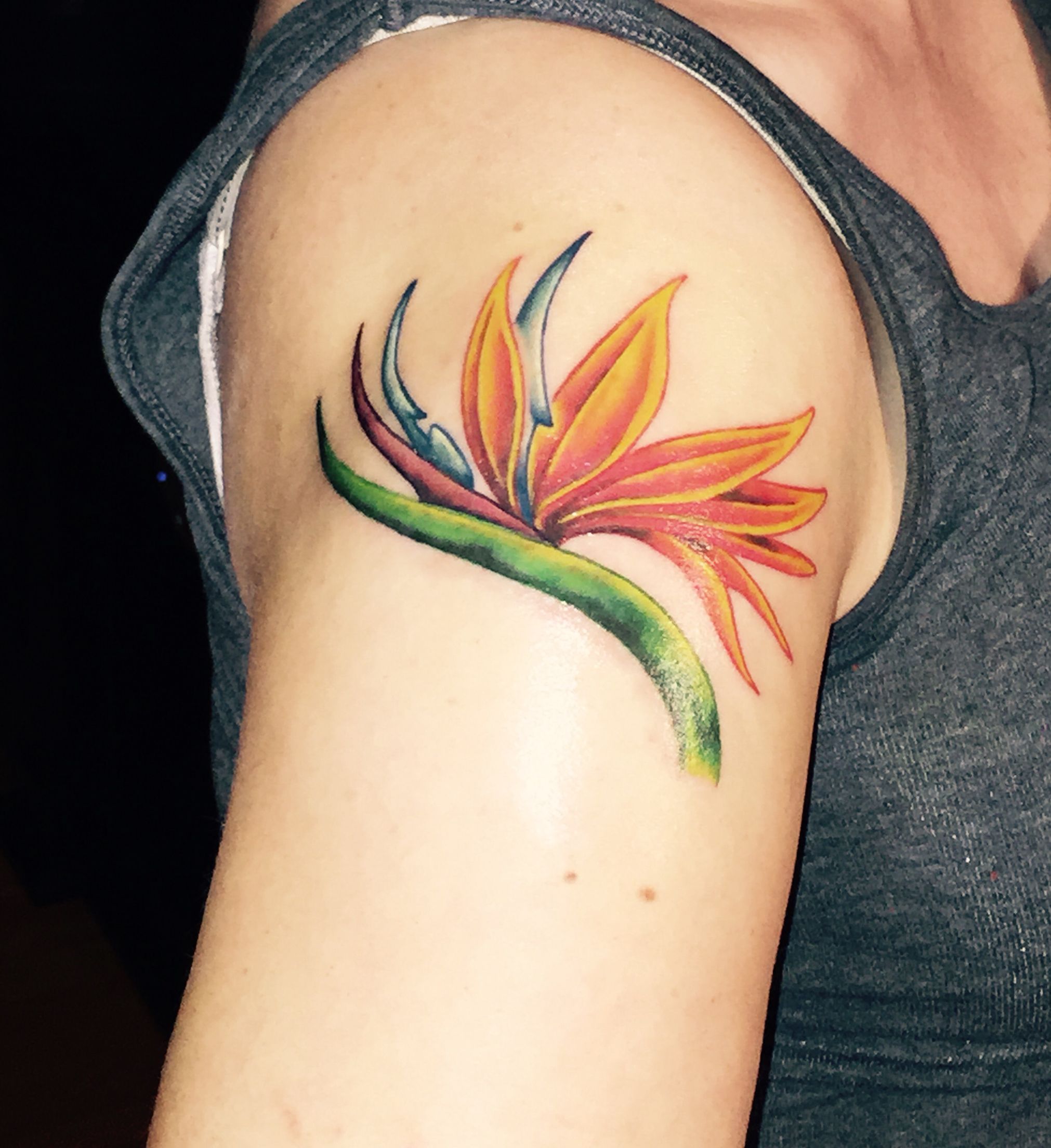 Birds of Paradise Tattoo: Meaning and Designs