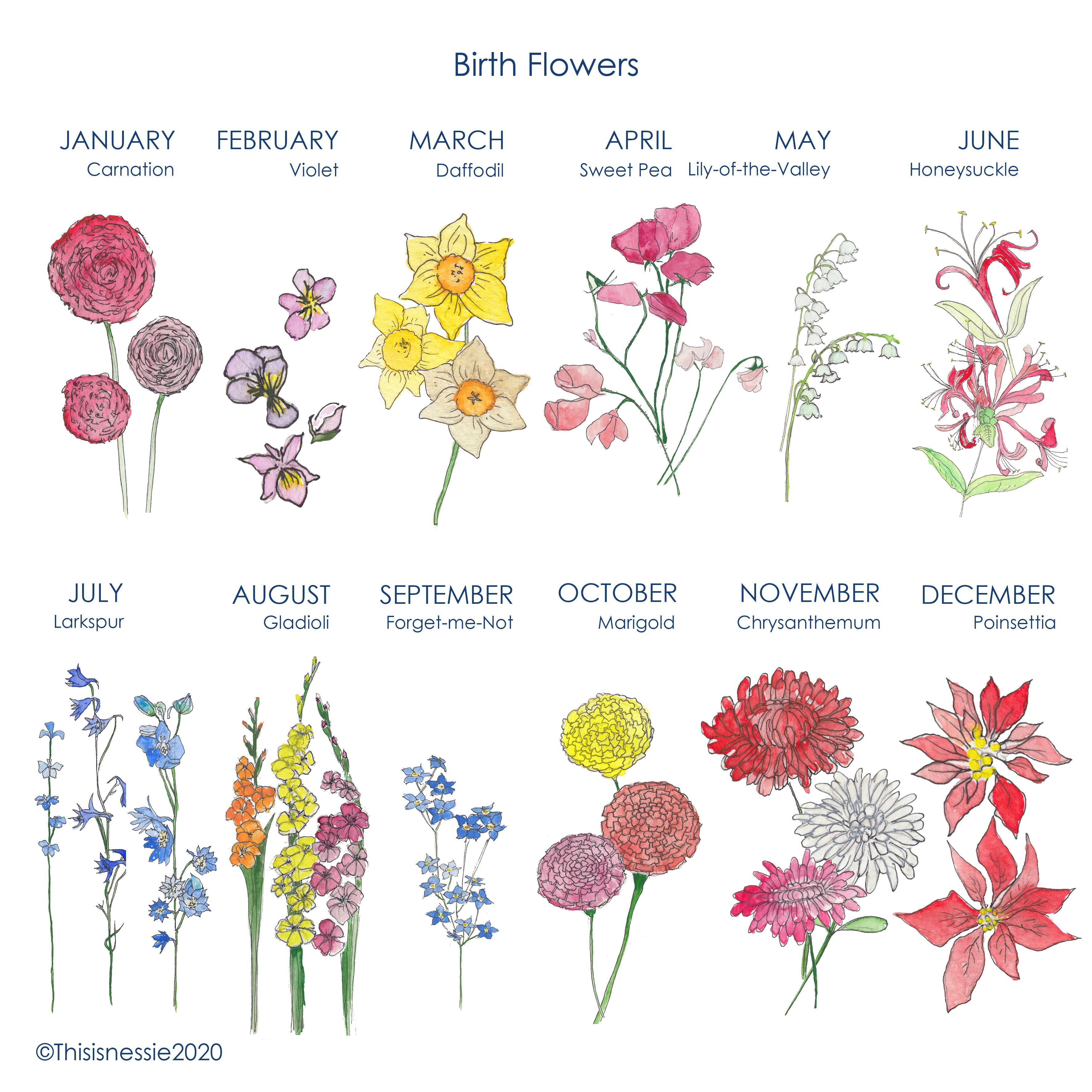 Birth Flower Poster 12 Months Birth Flower Tattoos Birth Flowers