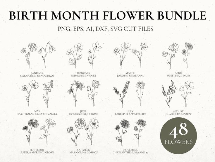 Birth Month Flower Svg Bundle Fine Line Flower Flower Stencil Floral