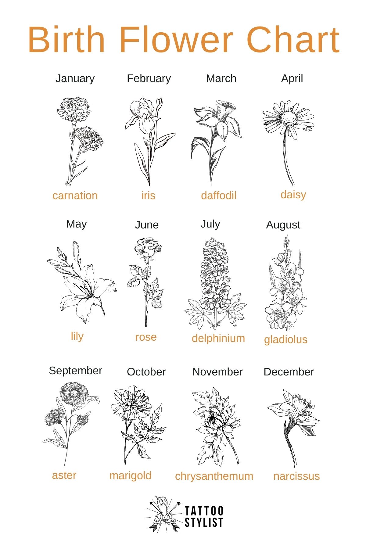 Birth Month Flowers Google Search In 2020 Birth Flower Tattoos