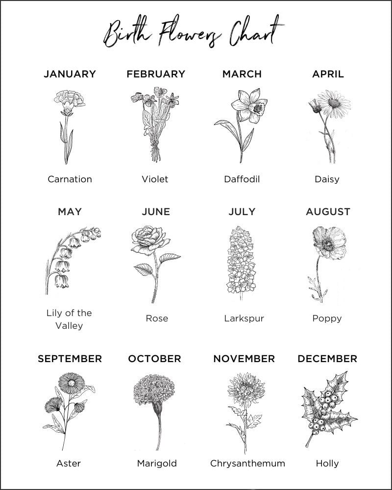 Birthday Flowers The Complete Guide Of Birth Month Flowers Birth