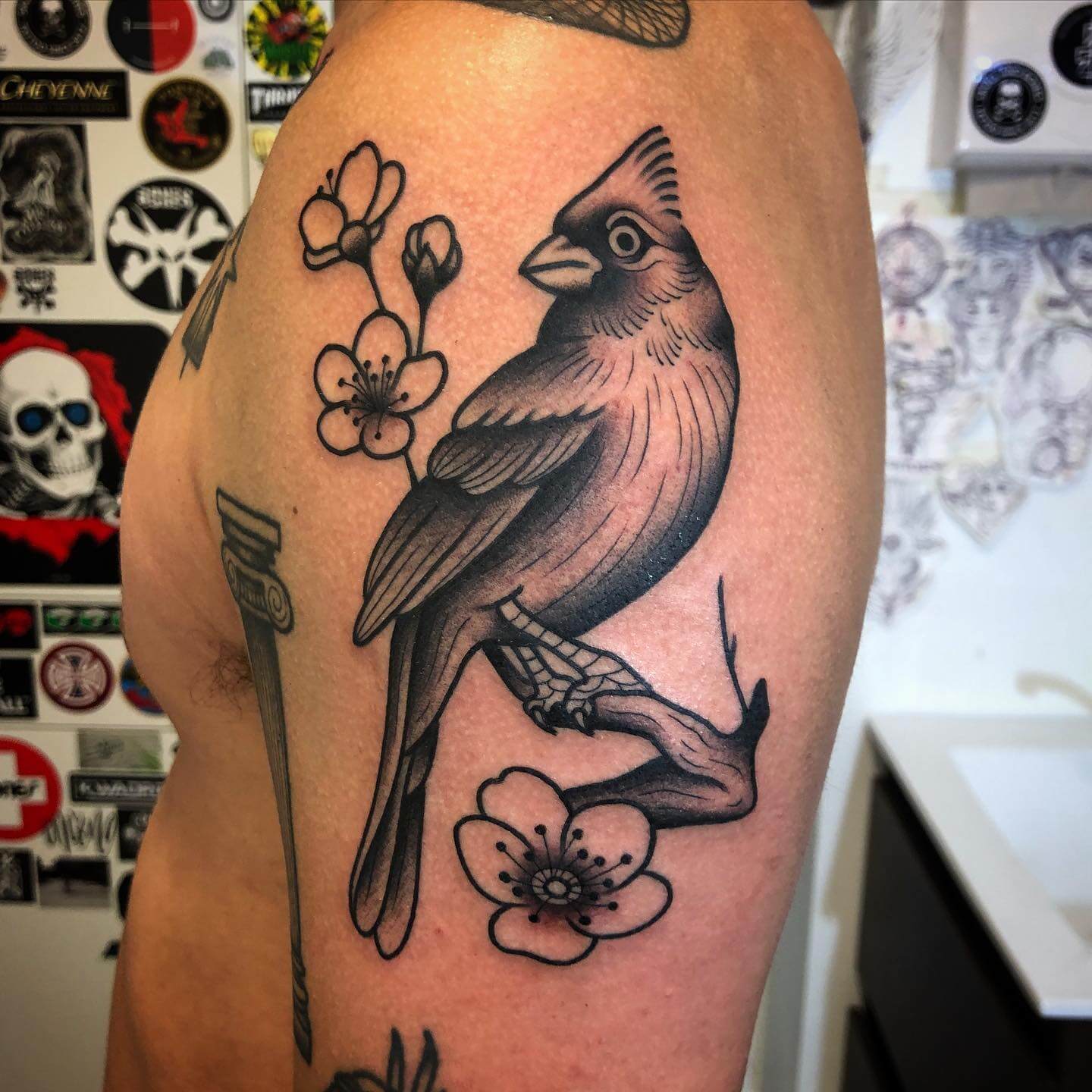 Black and White Cardinal Tattoo Ideas and Meaning