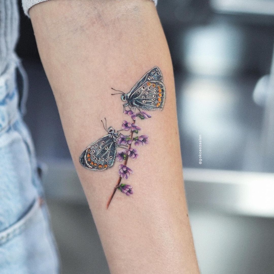 Butterfly Tattoo Designs On Legs Unlimitedlive