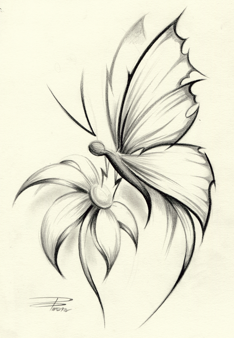 Butterfly Tattoo Drawings In Pencil