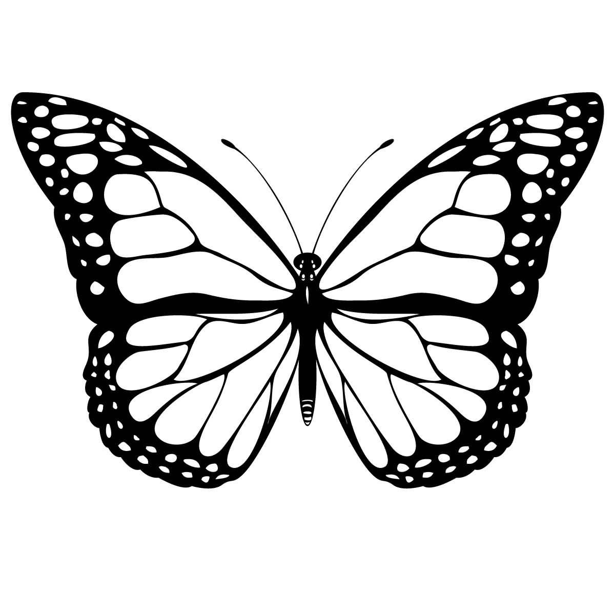 Butterfly Tattoo Stencils