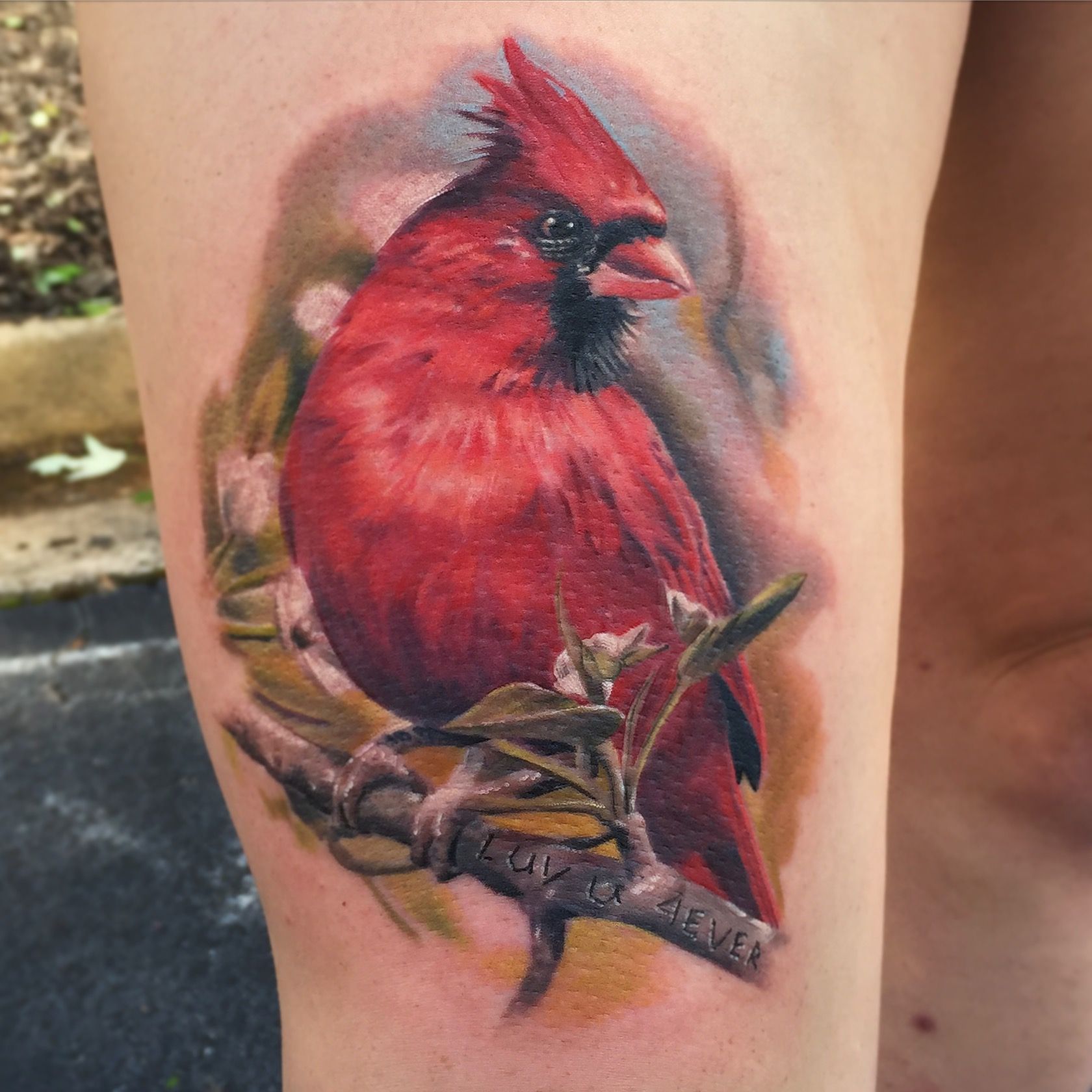 Cardinal In Flight Tattoo