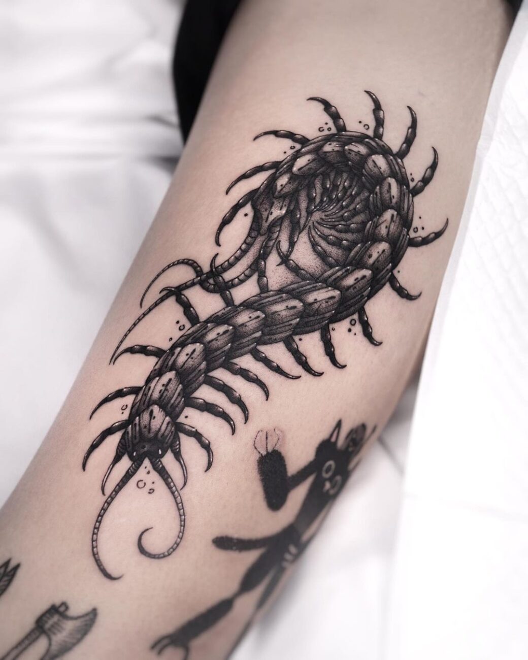 Centipede Tattoo Complete Guide And 12 Tattoo Designs