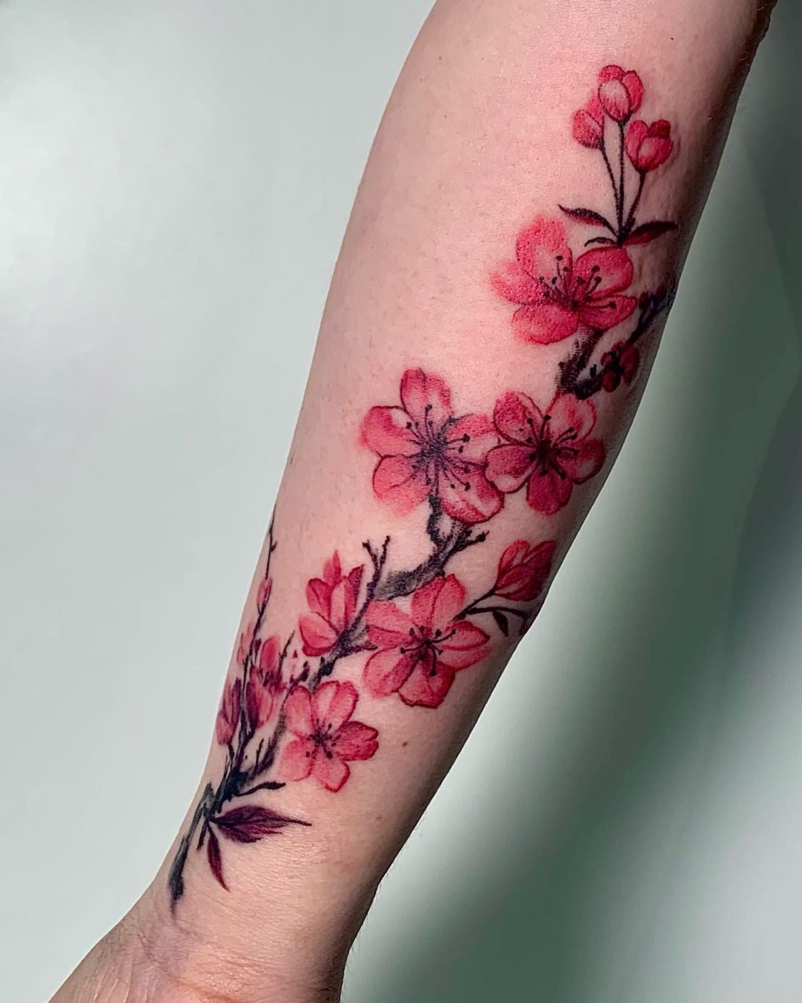 Cherry Blossom Tattoos Bangkok All Day Tattoo