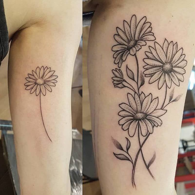 Daisy Tattoo Designs Daisy Flower Tattoos Best Tattoo Designs Tattoo