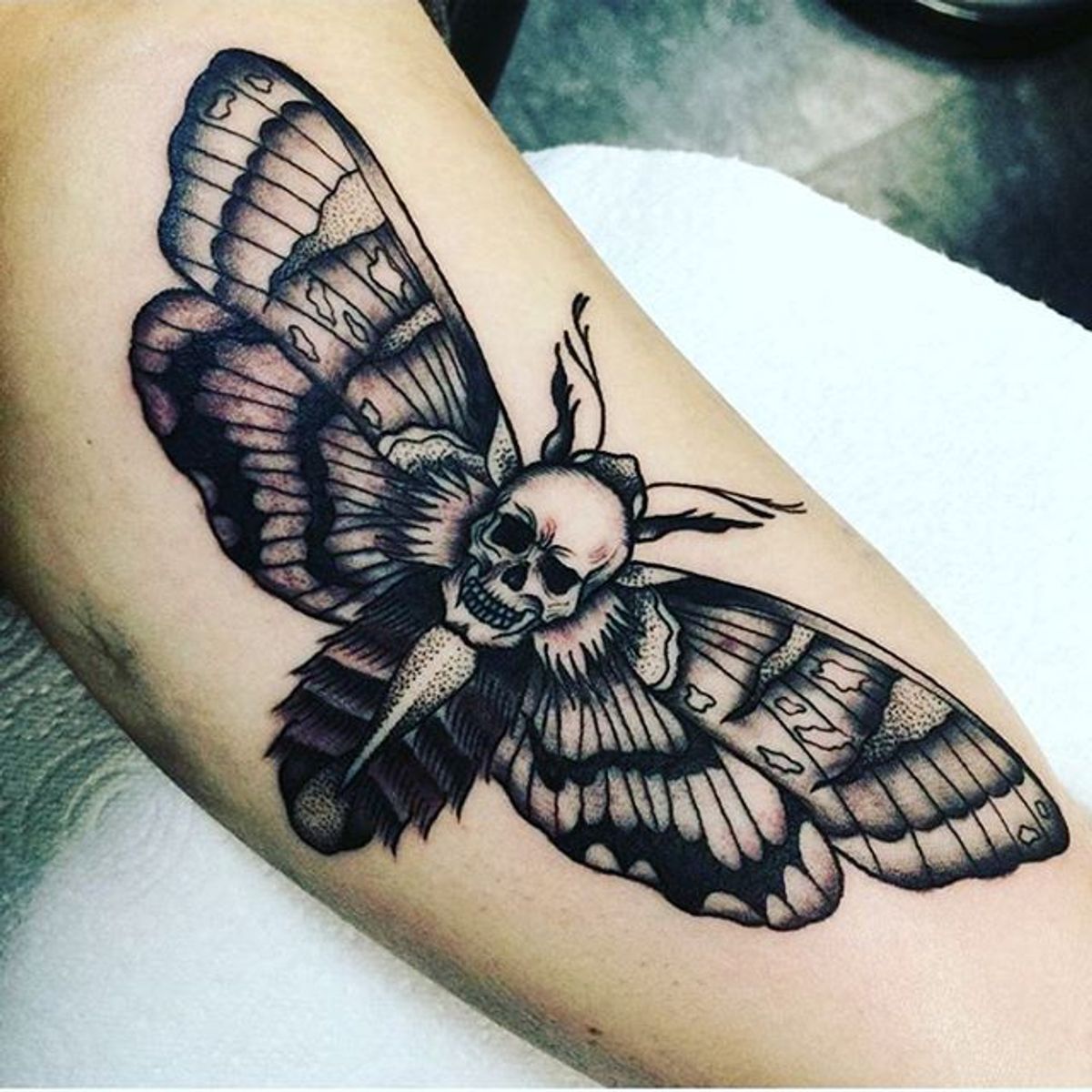 Death Moth Tattoo Meaning Exploring The Symbolism And Designs