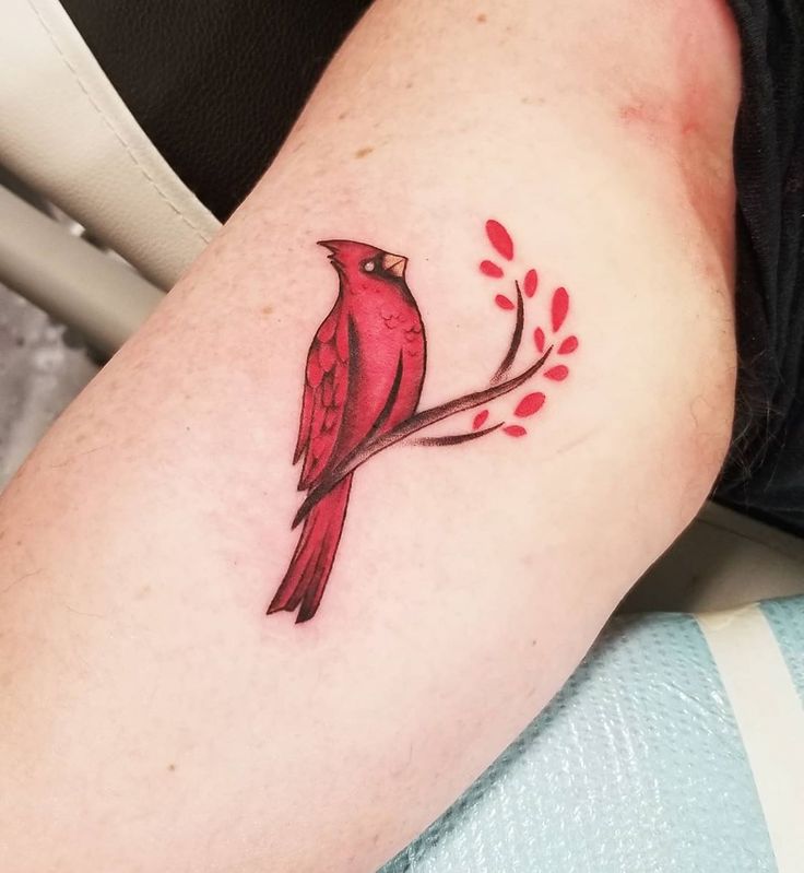 Details More Than 71 Small Cardinal Tattoo Super Hot In Eteachers