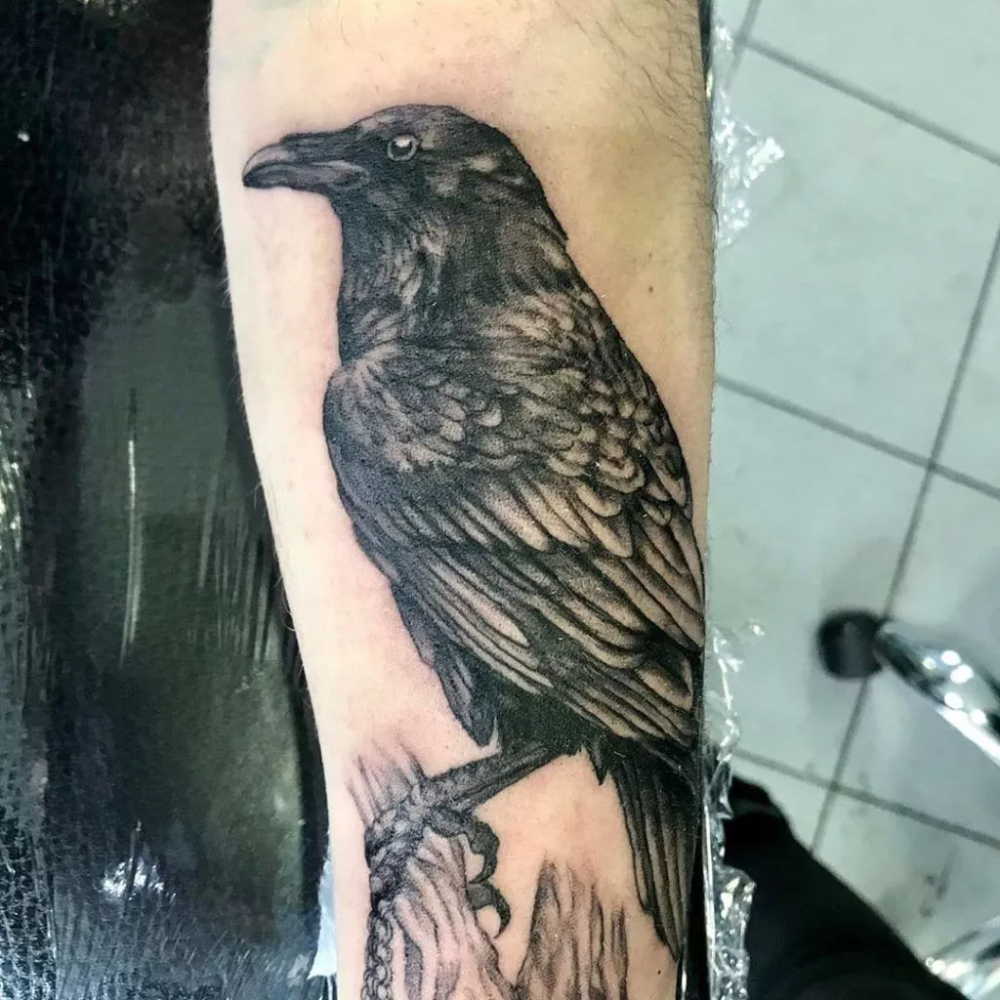 Details More Than 78 Crow Tattoo Designs Super Hot In Coedo Com Vn