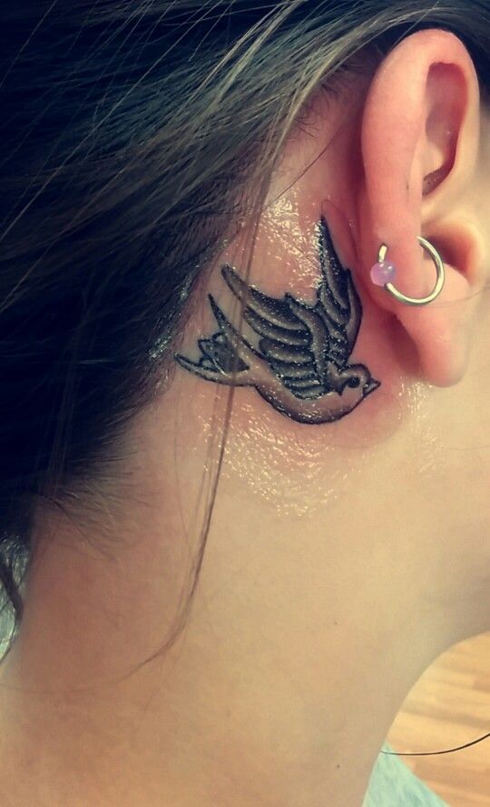 Discover 79 Bird Tattoo Behind Ear In Cdgdbentre