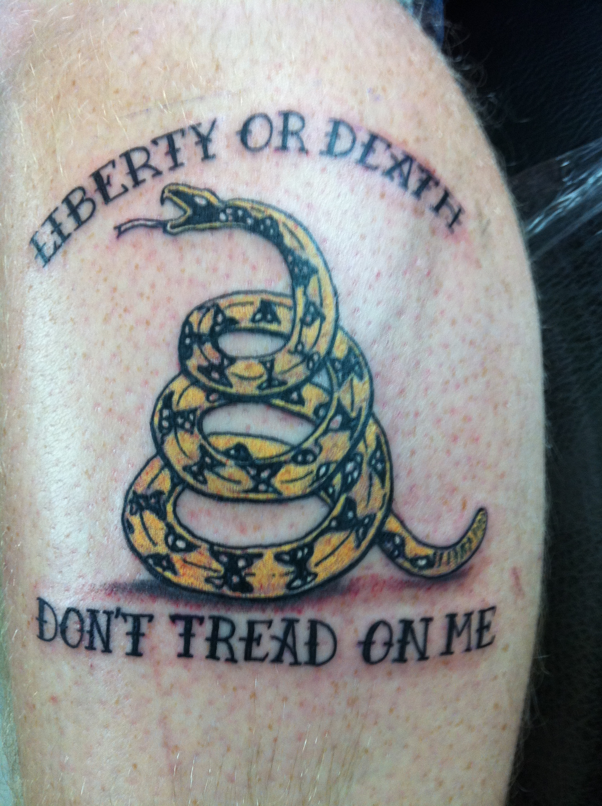 5 Daring Don't Tread On Me Tattoo Ideas