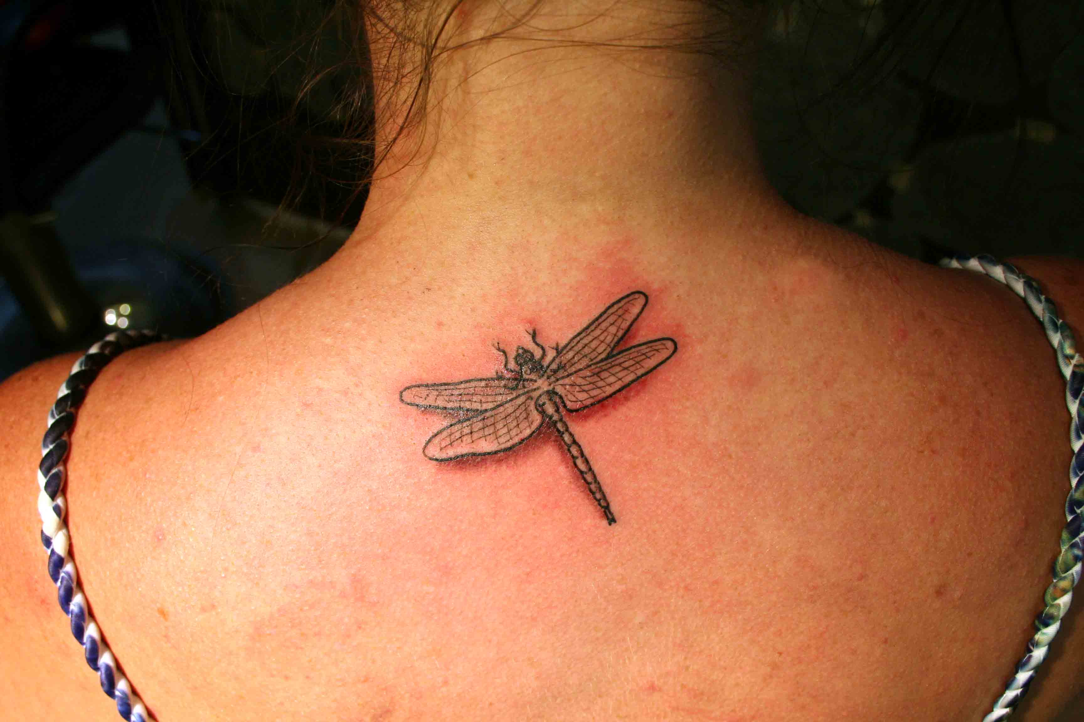 7 Stunning Dragonfly Tattoo Ideas for Women